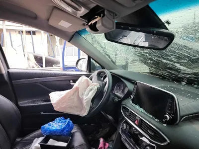 2019 Hyundai Santa FE 2KMHS381BBKU07648 VIN:2KMHS381BBKU07648