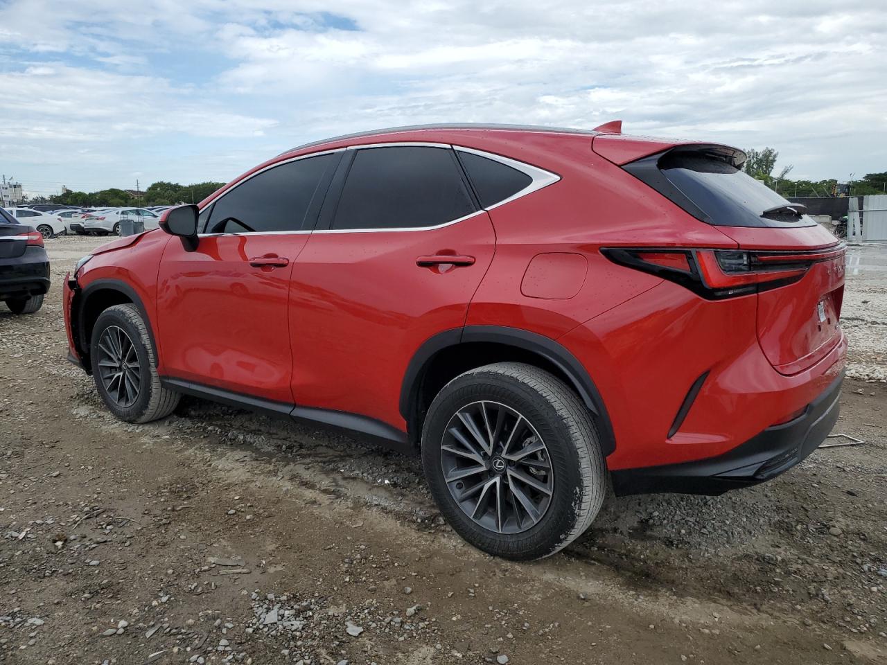 2024 LEXUS NX 250 BASE VIN:2T2ADCAZ1RC015158