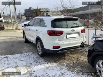 2019 Kia Sorento KNAPK81BBLA565195 VIN:KNAPK81BBLA565195