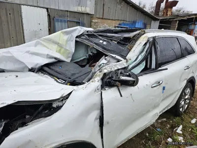 2020 Kia Sorento KNAPH81ABLA599695 VIN:KNAPH81ABLA599695