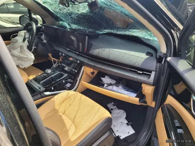 2020 Kia Carnival KNANC81BBMS039848 VIN:KNANC81BBMS039848