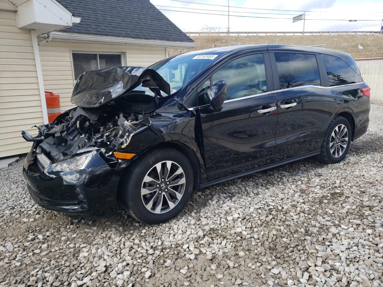 2023 HONDA ODYSSEY EXL VIN:5FNRL6H69PB048988