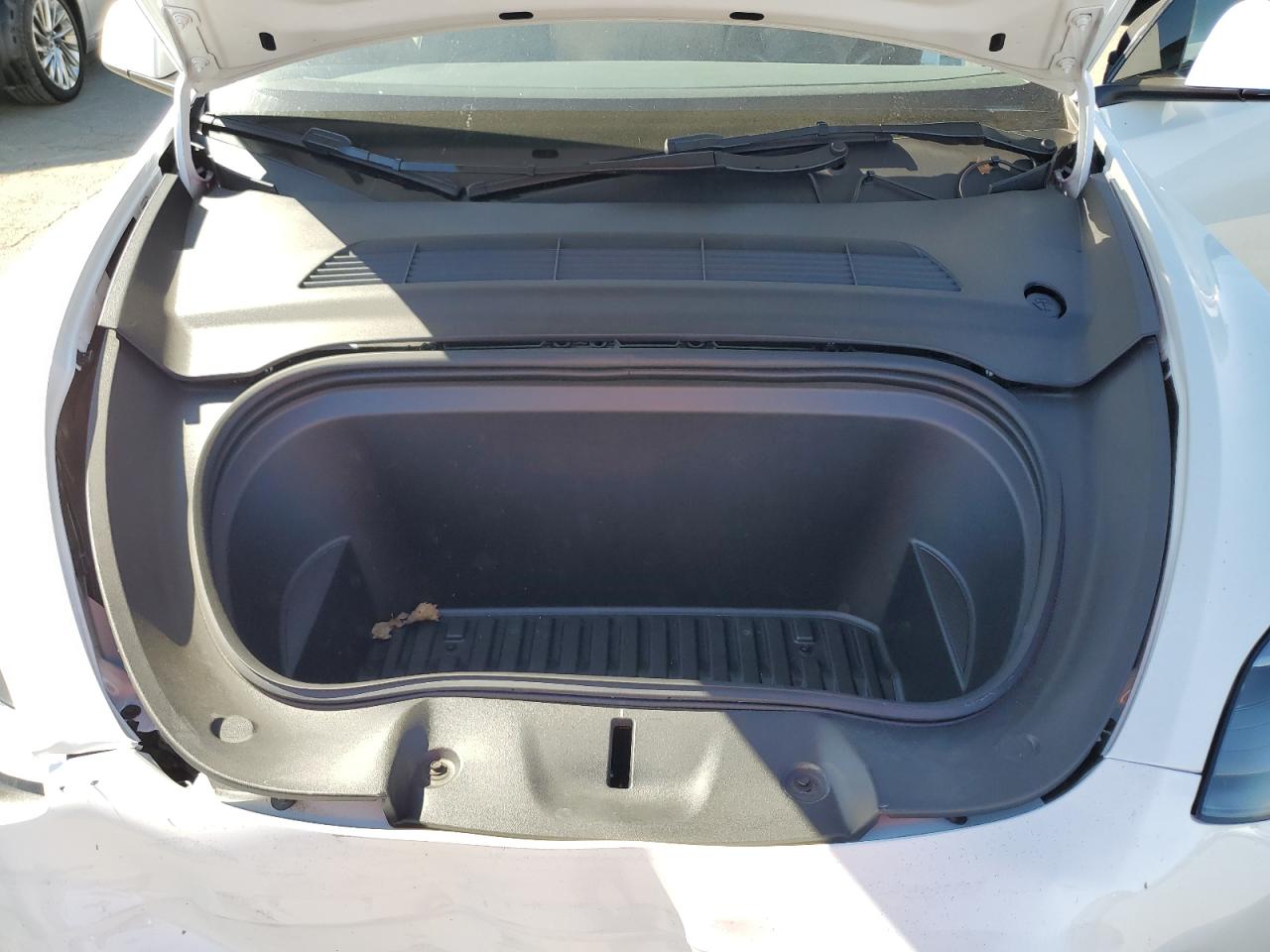 2023 TESLA MODEL Y  VIN:7SAYGDEE5PF812029