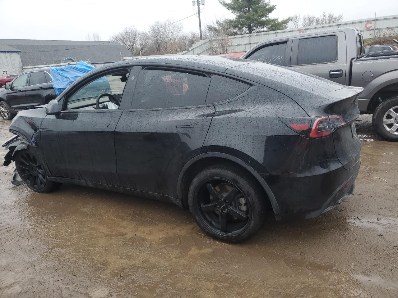 2023 TESLA MODEL Y  VIN:7SAYGDEE8PA189650