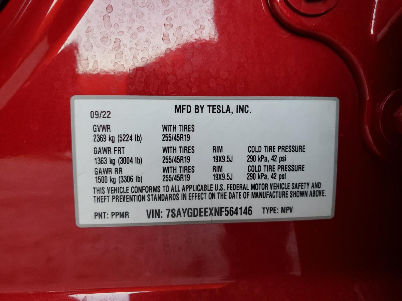 2022 TESLA MODEL Y  VIN:7SAYGDEEXNF564146