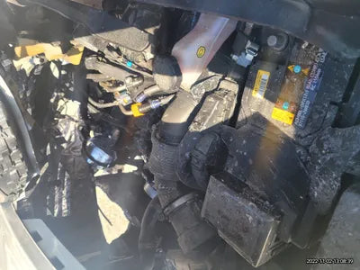 2021 Kia Sorento KNARH81BGMA087932 VIN:KNARH81BGMA087932
