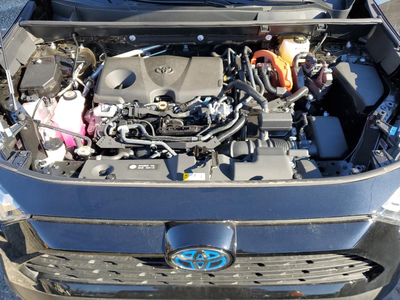 2024 TOYOTA RAV4 XLE PREMIUM VIN:2T3B6RFV9RW076517