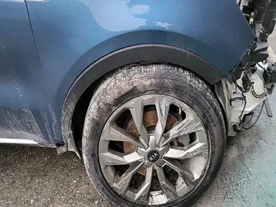 2020 Kia Sorento KNARL81BGMA059439 VIN:KNARL81BGMA059439