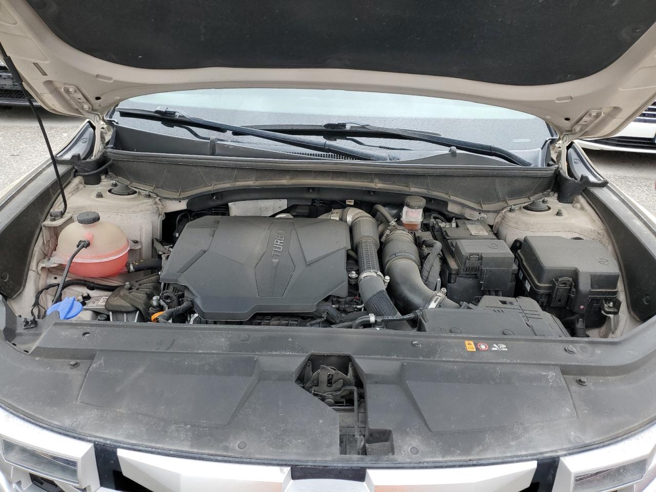 2022 HYUNDAI SANTA CRUZ SEL PREMIUM VIN:5NTJDDAF7NH006005