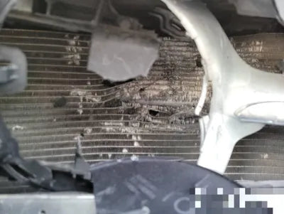 2020 Mercedes-Benz A 220 W1K3G4EB5LJ239283 VIN:W1K3G4EB5LJ239283