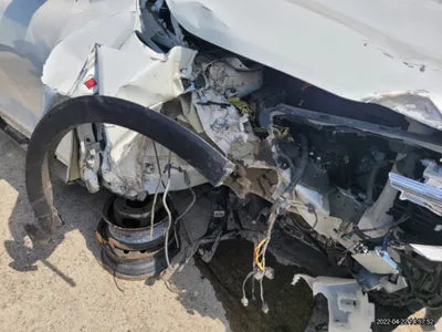 2019 Kia Sorento KNAPH81BBLA564657 VIN:KNAPH81BBLA564657