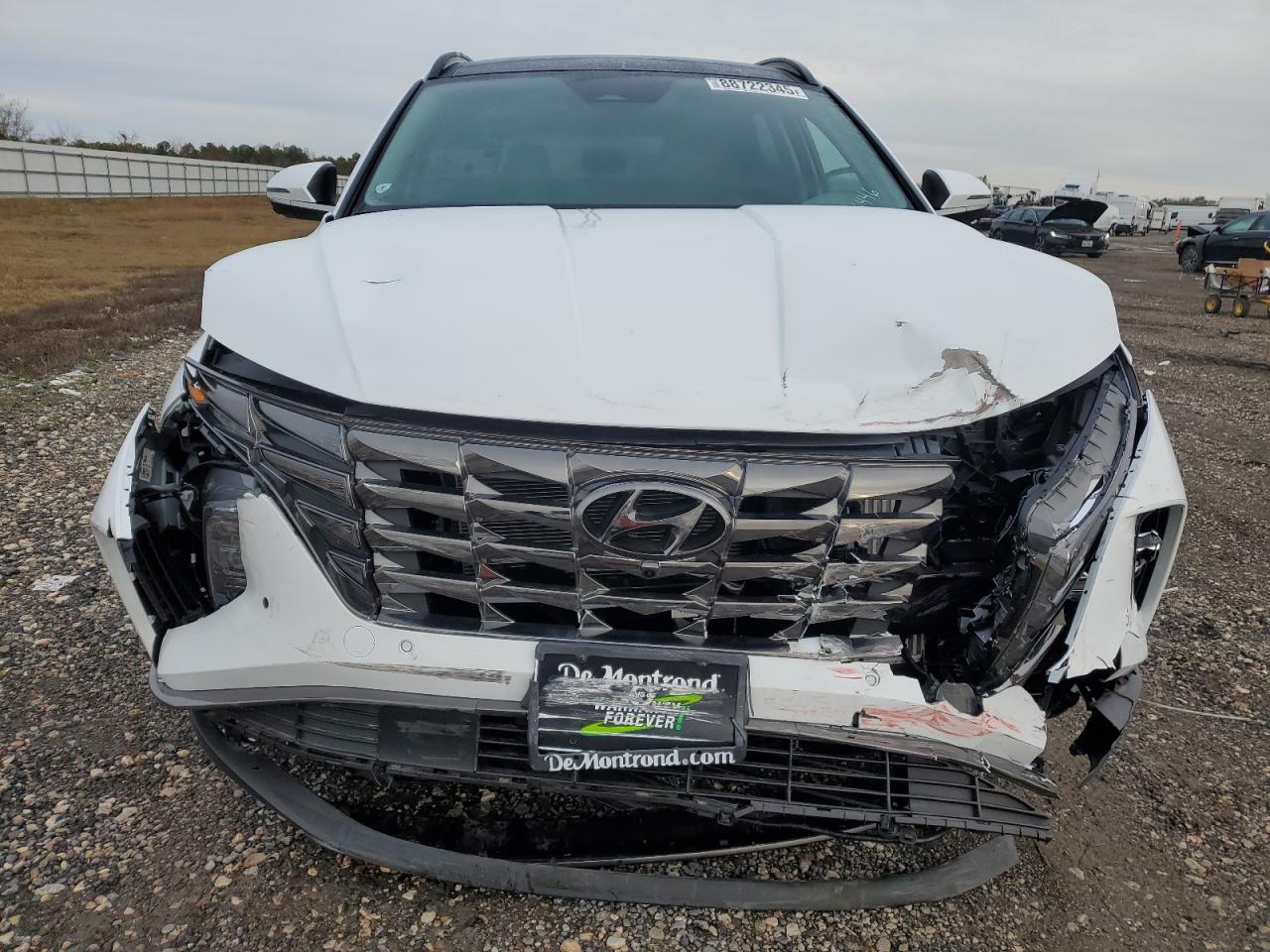 2024 HYUNDAI TUCSON LIMITED VIN:KM8JECD12RU246446