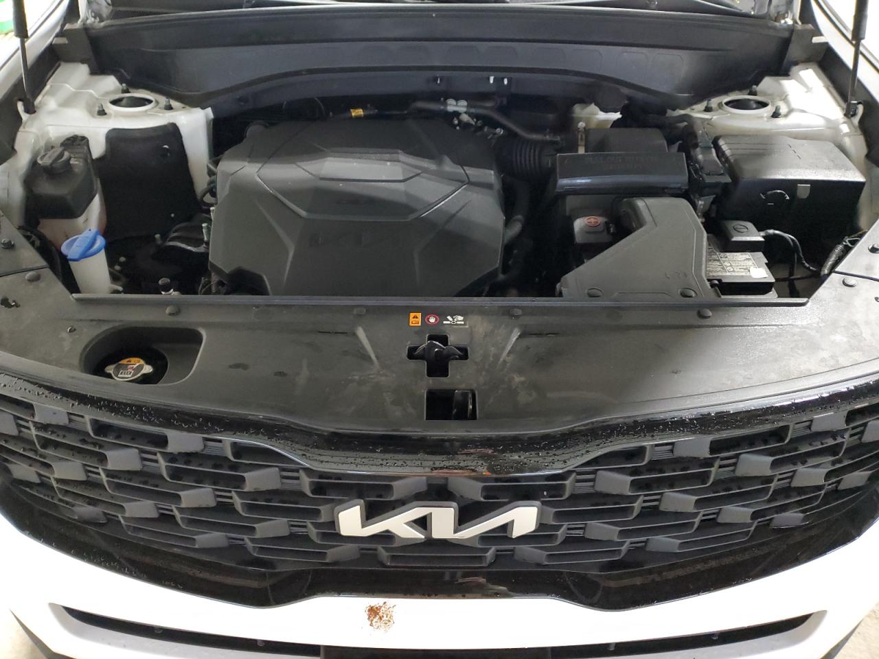 2022 KIA TELLURIDE EX VIN:5XYP3DHC9NG296116