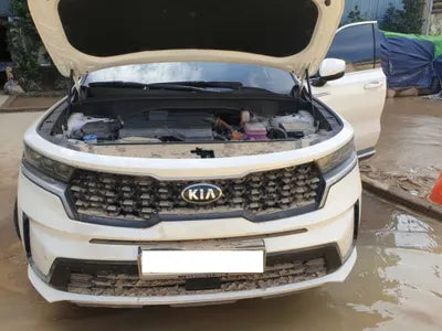 2021 Kia Sorento KNARL81GBMA004470 VIN:KNARL81GBMA004470