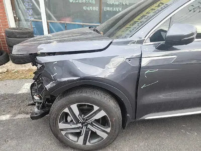 2021 Kia Sorento KNARK81GBMA049343 VIN:KNARK81GBMA049343