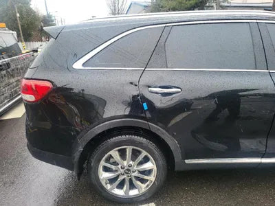 2017 Kia Sorento KNAPS81ABHA319110 VIN:KNAPS81ABHA319110