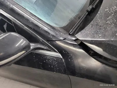 2019 Mercedes-Benz S 450 VIN: