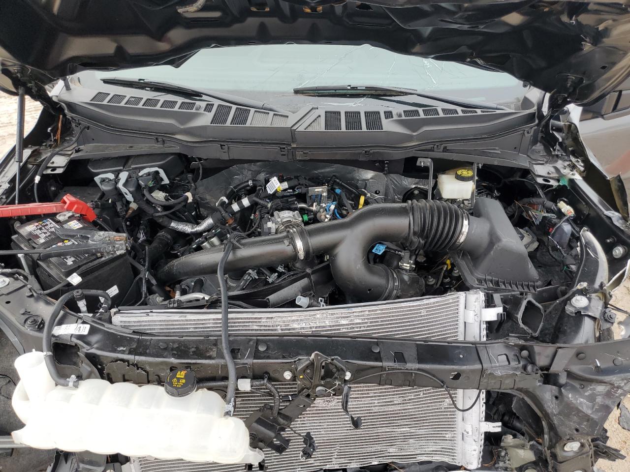 2024 FORD F150 STX VIN:1FTEW2KP8RKE37496