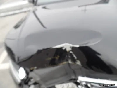 2017 Audi 50 WAUZZZ4GXHN022219 VIN:WAUZZZ4GXHN022219