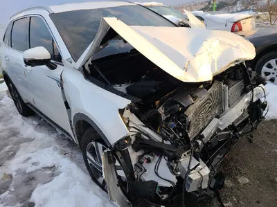 2022 Kia Sorento KNARK81GDNA070823 VIN:KNARK81GDNA070823