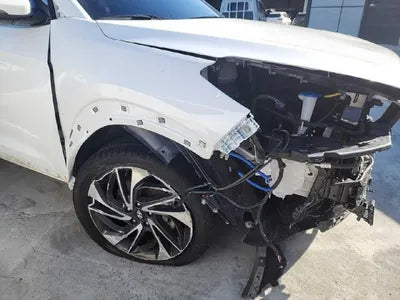2019 Hyundai Tucson KMHJ5812GKU974503 VIN:KMHJ5812GKU974503