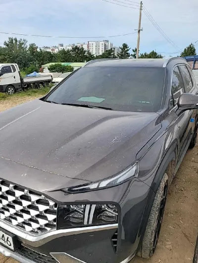 2021 Hyundai Santa FE KMHS381LHMU394906 VIN:KMHS381LHMU394906