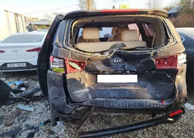 2019 Kia Carnival KNAME811BKS457507 VIN:KNAME811BKS457507
