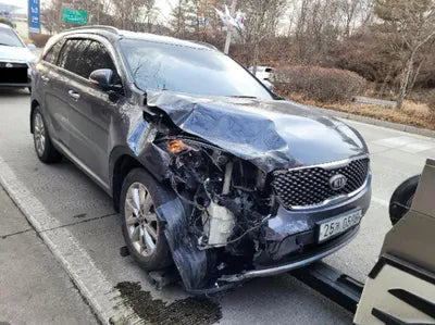 2016 Kia Sorento KNAPH81ABGA158998 VIN:KNAPH81ABGA158998