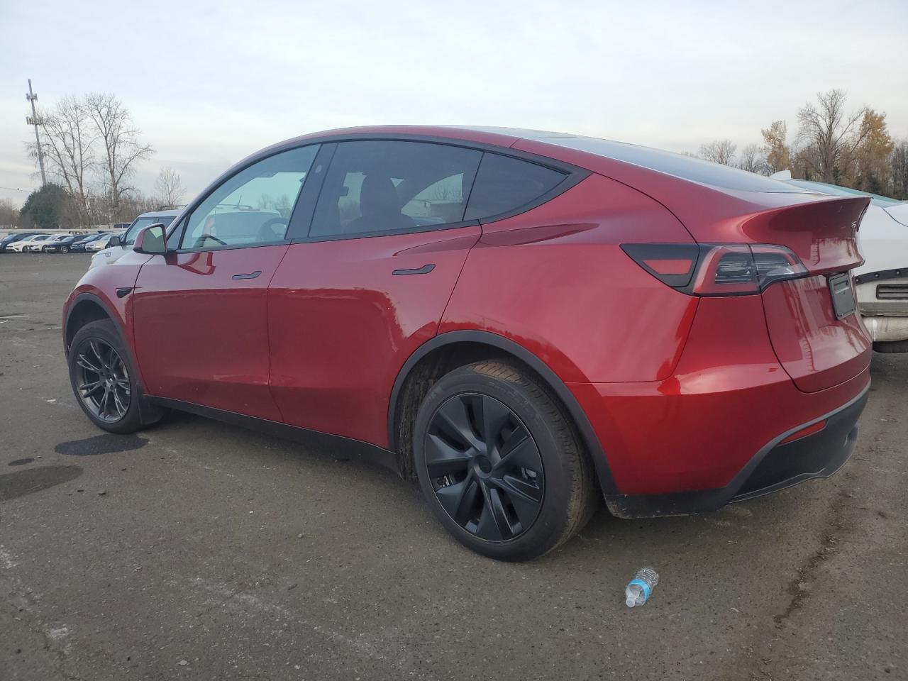 2024 TESLA MODEL Y  VIN:7SAYGDED0RF201867