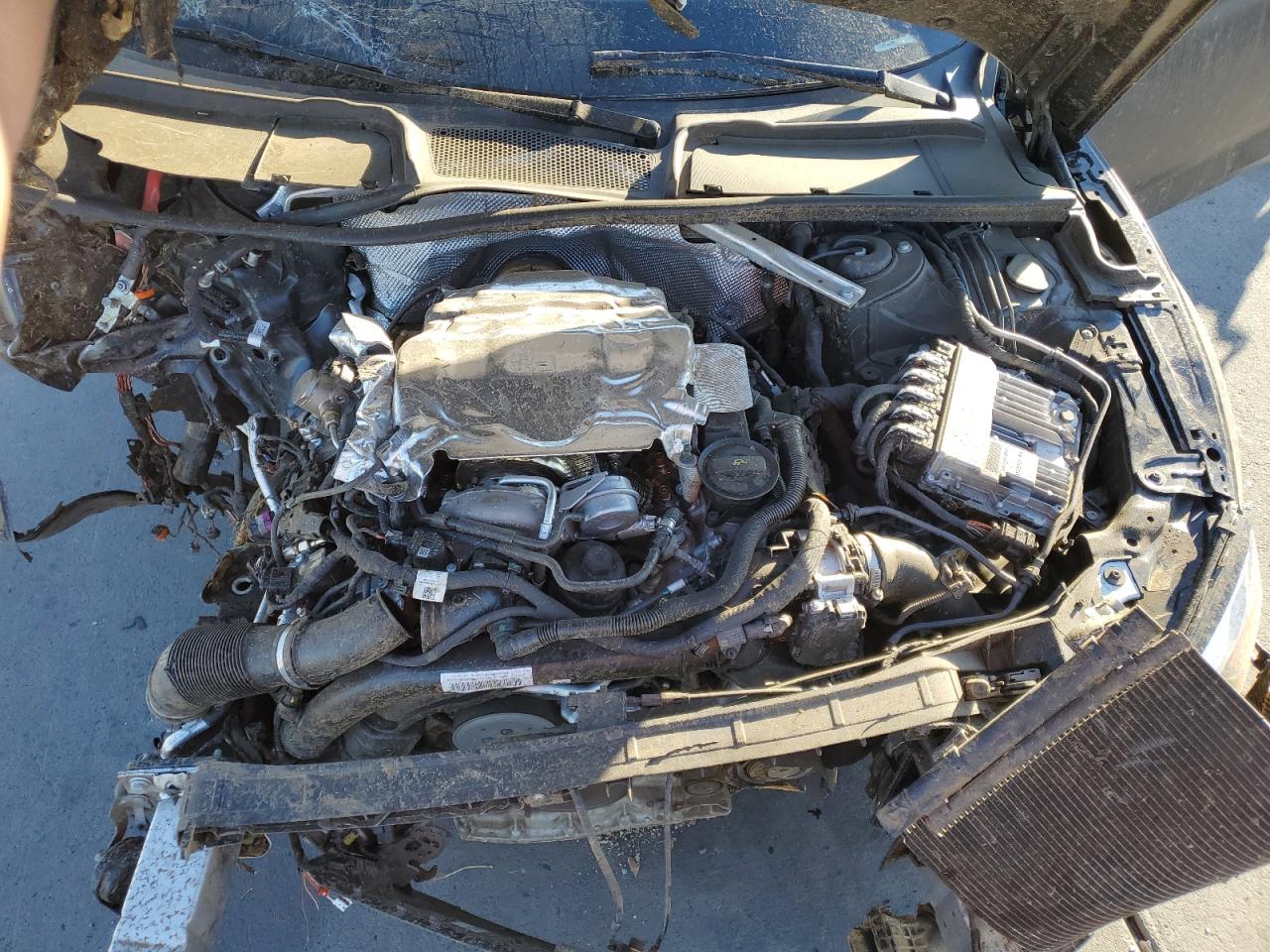 2024 AUDI S5 PREMIUM PLUS VIN:WAUC4CF55RA002174