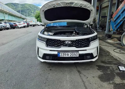 2021 Kia Sorento KNARF81BGMA031561 VIN:KNARF81BGMA031561