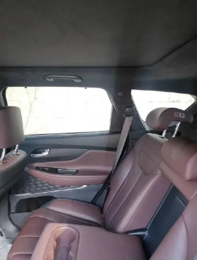 2020 Hyundai Santa FE KMHS581CDLU193266 VIN:KMHS581CDLU193266