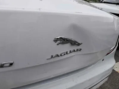 2019 Jaguar XJ SAJAA22P7KNW19581 VIN:SAJAA22P7KNW19581