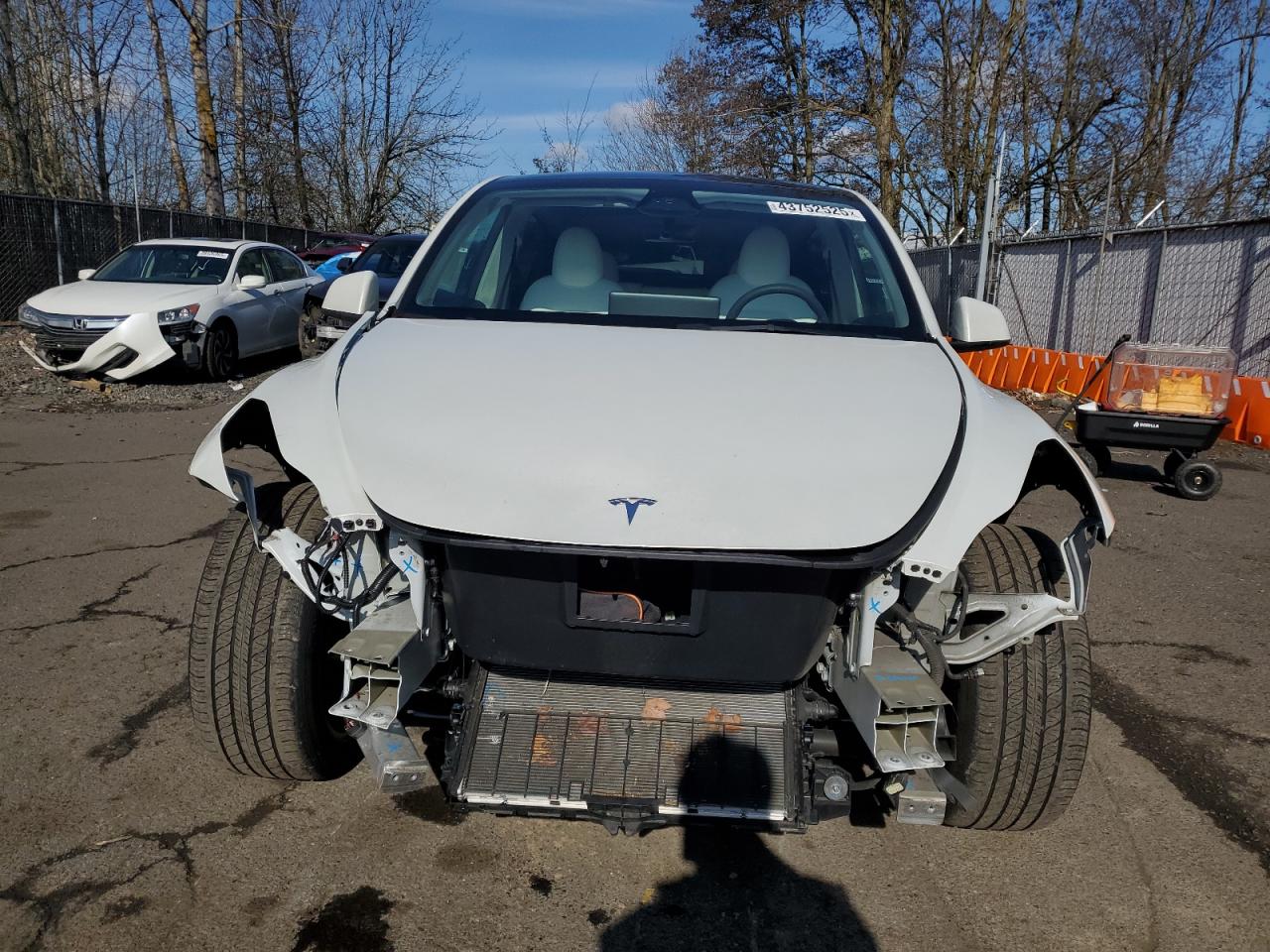2023 TESLA MODEL Y  VIN:7SAYGDEE5PF831826