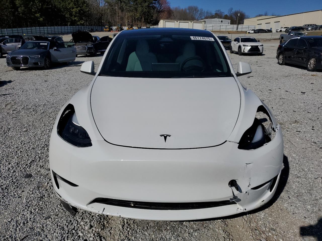 2023 TESLA MODEL Y  VIN:7SAYGDEFXPF935544