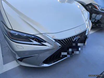 2019 Lexus ES 300 VIN: