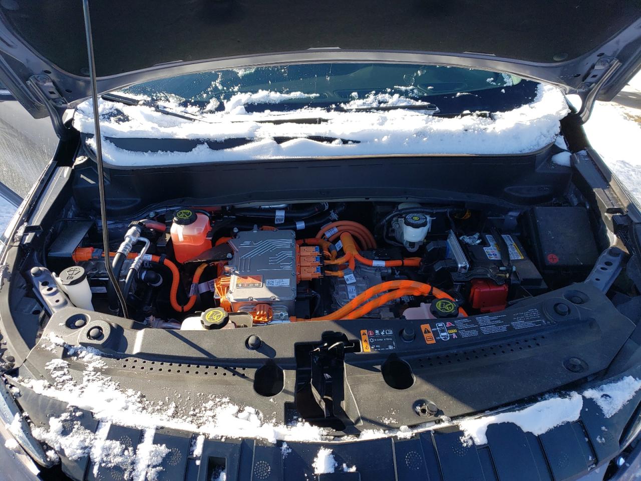 2023 CHEVROLET BOLT EUV PREMIER VIN:1G1FZ6S03P4184412