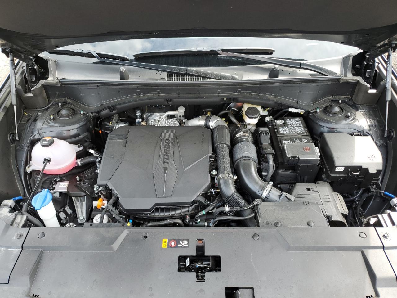 2024 HYUNDAI SANTA FE SEL VIN:5NMP2DGL7RH001112