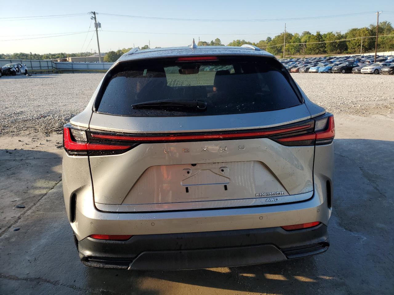 2022 LEXUS NX 350H VIN:2T2GKCEZ9NC003070