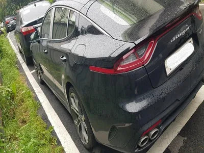 2020 Kia Stinger KNAE751CDLS085806 VIN:KNAE751CDLS085806