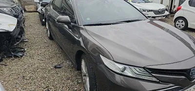 2019 Toyota Camry JTNB21HK9K3015804 VIN:JTNB21HK9K3015804