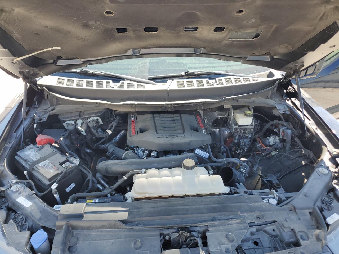 2023 FORD F150 RAPTOR VIN:1FTFW1RG1PFA44465