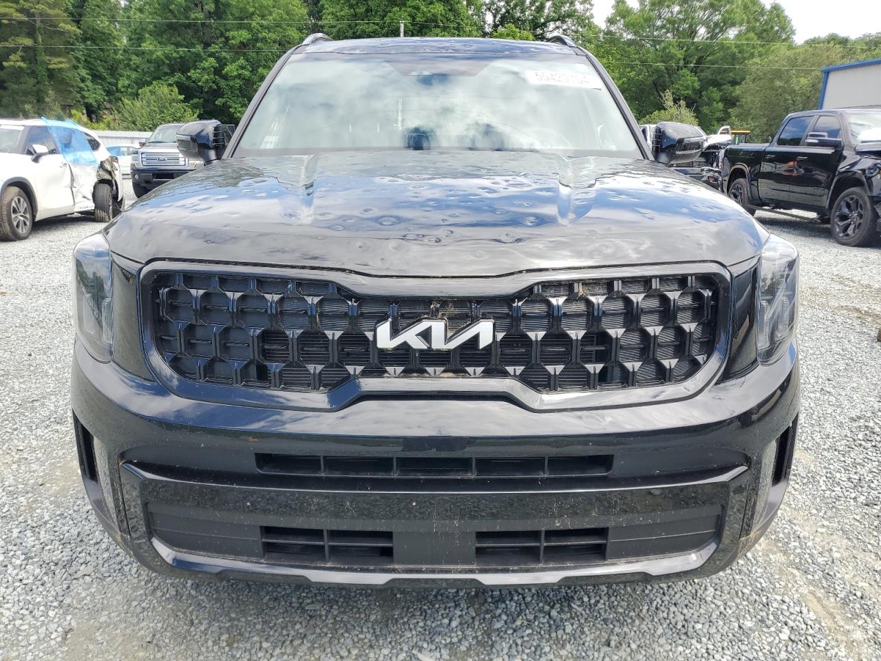 2024 KIA TELLURIDE EX VIN:5XYP3DGC6RG446545