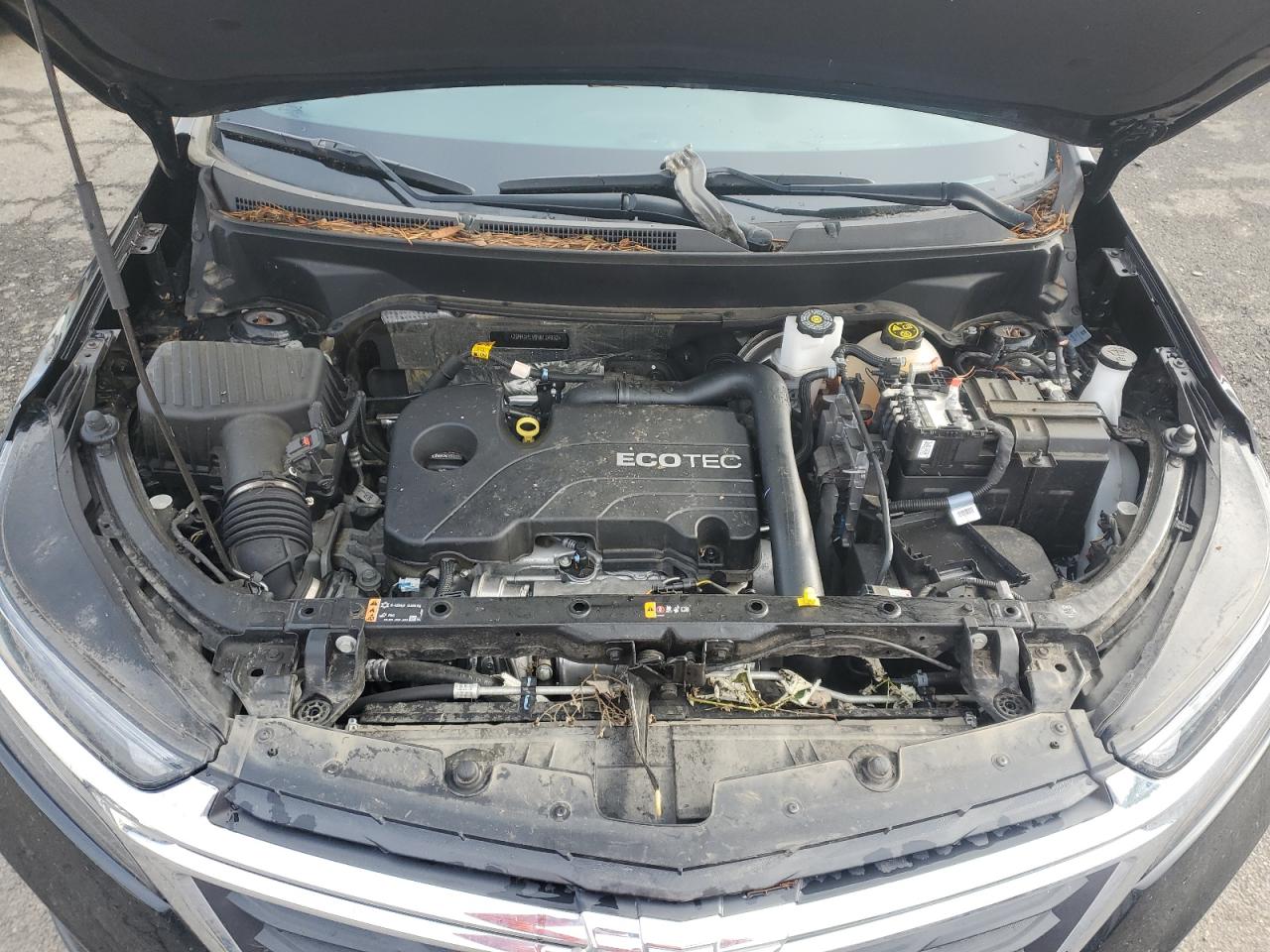 2022 CHEVROLET EQUINOX LS VIN:2GNAXHEV8N6124932