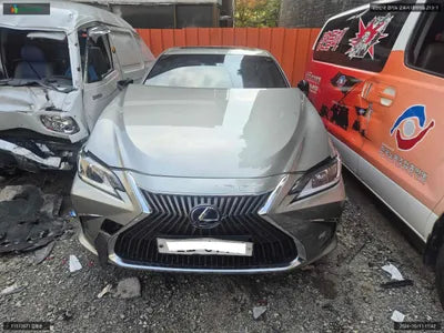 2019 Lexus ES 300 JTHB21B12K2028306 VIN:JTHB21B12K2028306