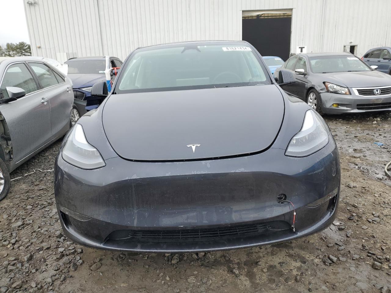 2024 TESLA MODEL Y  VIN:7SAYGDEEXRA295679