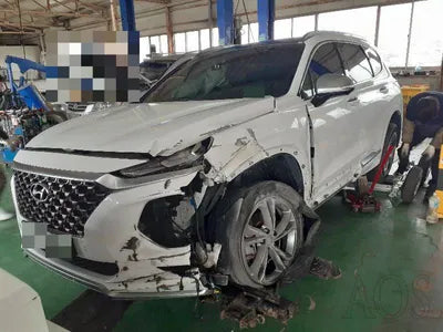 2019 Hyundai Santa FE KMHS581ABLU247207 VIN:KMHS581ABLU247207