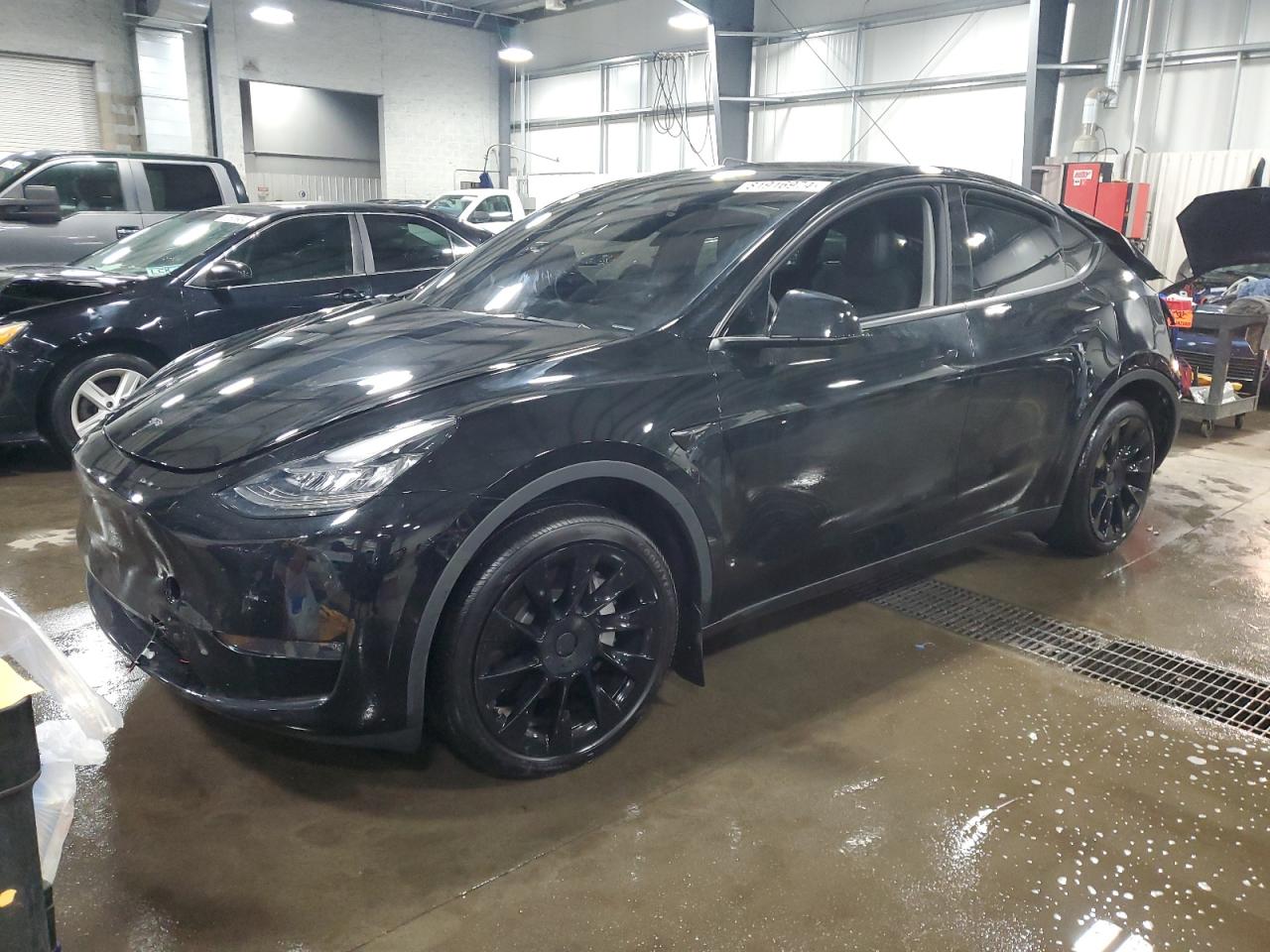 2023 TESLA MODEL Y  VIN:7SAYGDEE8PA124104