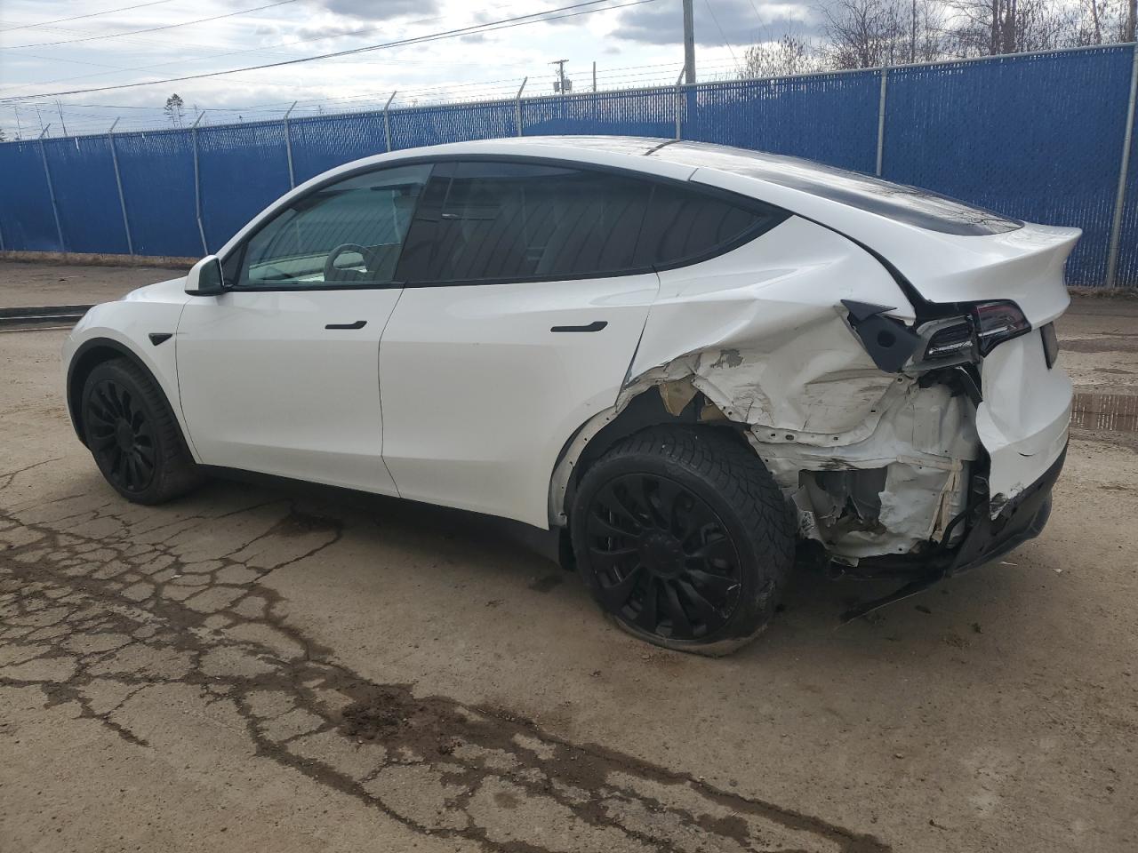 2023 TESLA MODEL Y  VIN:LRWYGDEEXPC228734
