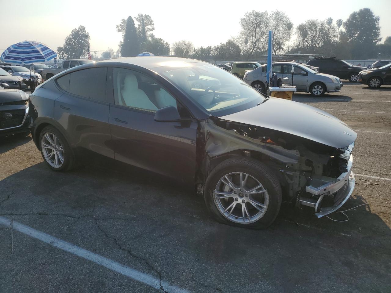2024 TESLA MODEL Y  VIN:7SAYGDEE1RF079397